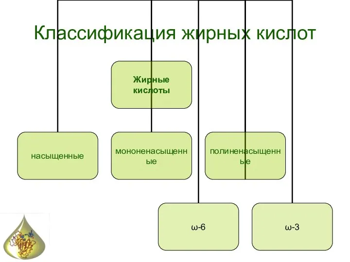 Классификация жирных кислот