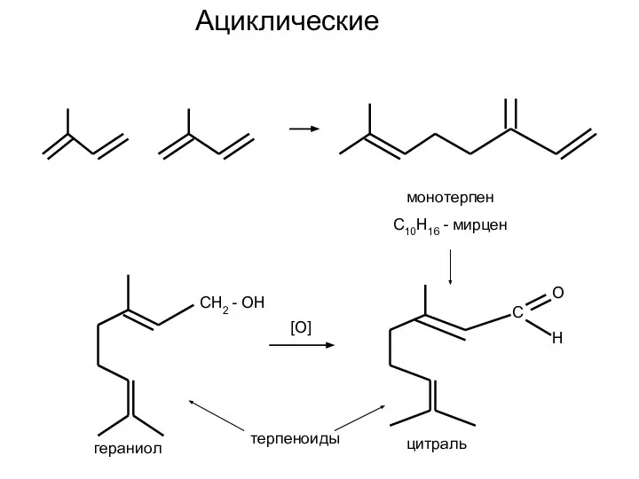 Ациклические монотерпен С10Н16 - мирцен СН2 - ОН гераниол [О] С О Н цитраль терпеноиды
