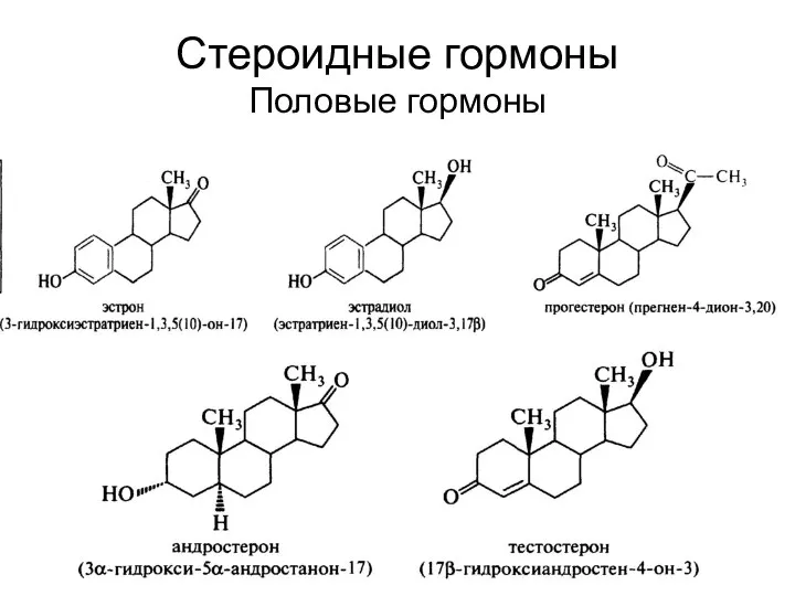 Стероидные гормоны Половые гормоны