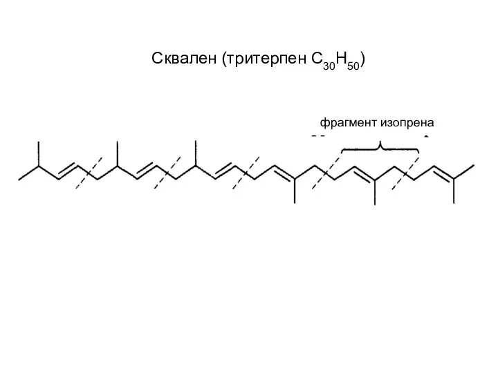 Сквален (тритерпен С30Н50) фрагмент изопрена