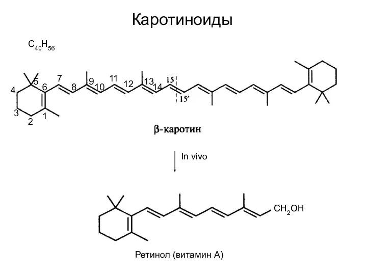 С40Н56 In vivo Ретинол (витамин А) В - каротин СН2ОН 1