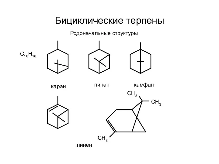 Бициклические терпены Родоначальные структуры С10Н18 каран пинан камфан СН3 СН3 СН3 пинен