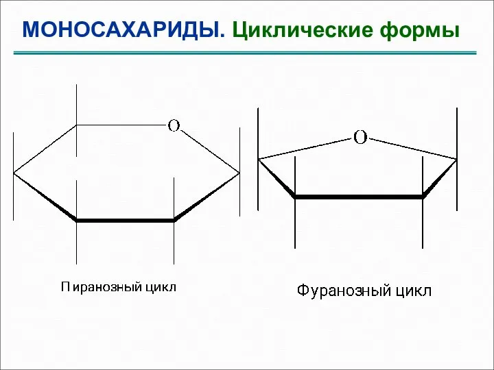 МОНОСАХАРИДЫ. Циклические формы