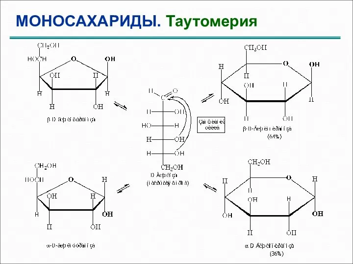 МОНОСАХАРИДЫ. Таутомерия