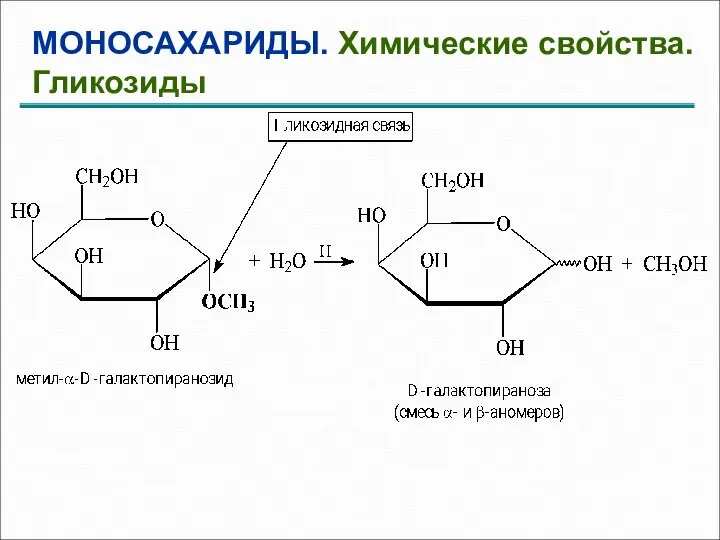 МОНОСАХАРИДЫ. Химические свойства. Гликозиды