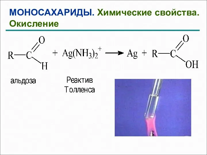 МОНОСАХАРИДЫ. Химические свойства. Окисление