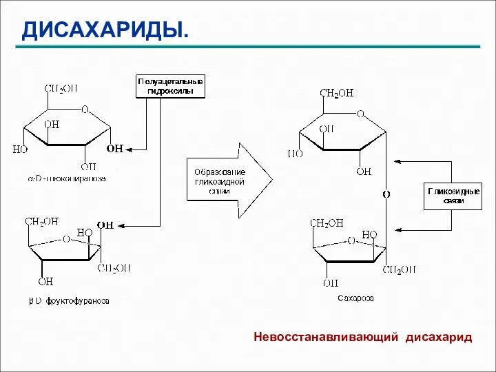 ДИСАХАРИДЫ. Невосстанавливающий дисахарид