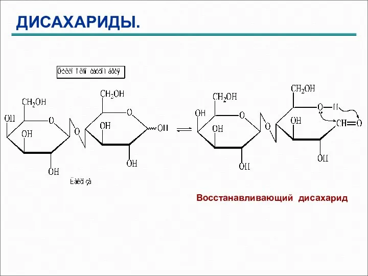 ДИСАХАРИДЫ. Восстанавливающий дисахарид