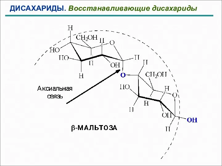 ДИСАХАРИДЫ. Восстанавливающие дисахариды