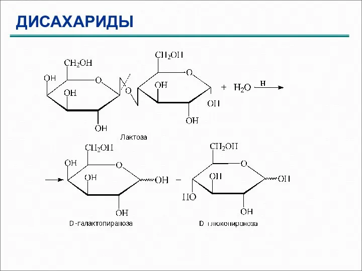 ДИСАХАРИДЫ