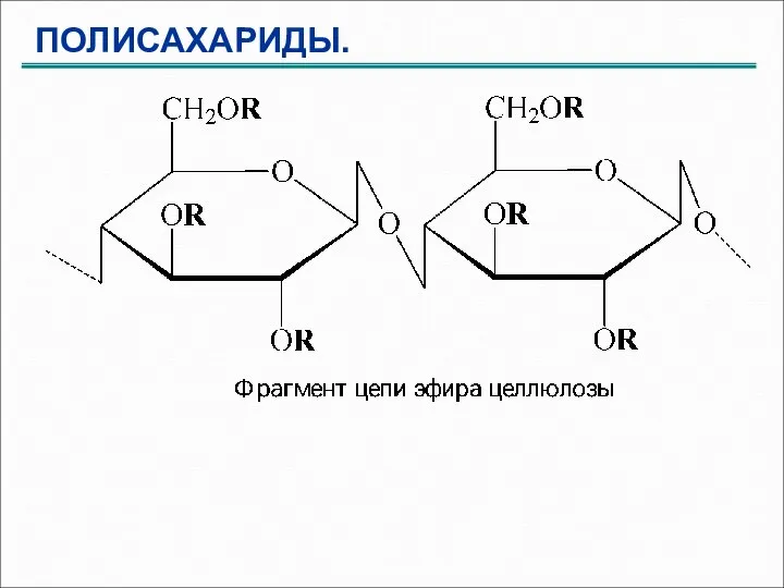 ПОЛИСАХАРИДЫ.