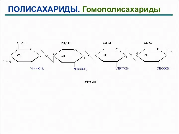 ПОЛИСАХАРИДЫ. Гомополисахариды