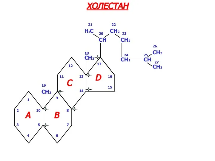 CH3 CH3 CH2 CH H3C CH2 CH2 CH CH3 CH3 2