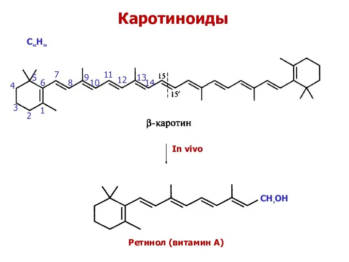 Каротиноиды С40Н56 In vivo Ретинол (витамин А) В - каротин СН2ОН