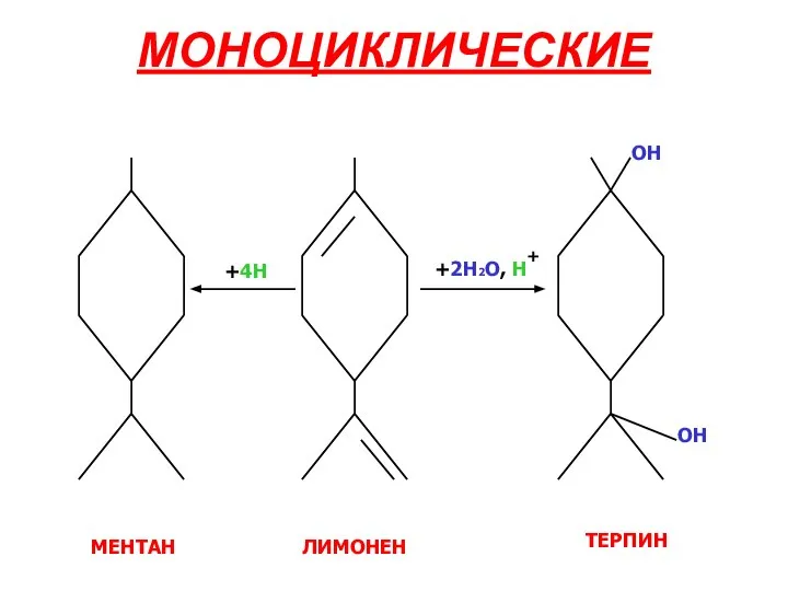 МОНОЦИКЛИЧЕСКИЕ +4H +2H2O, H + OH OH МЕНТАН ЛИМОНЕН ТЕРПИН