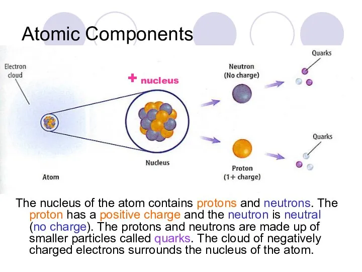 Atomic Components The nucleus of the atom contains protons and neutrons.