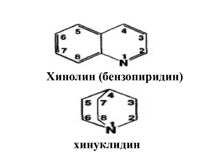 Хинолин (бензопиридин) хинуклидин