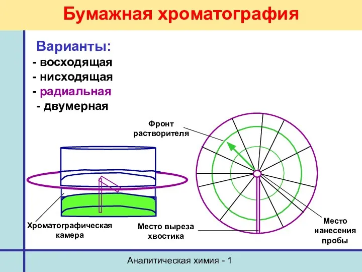 Аналитическая химия - 1 Бумажная хроматография Варианты: восходящая нисходящая радиальная -