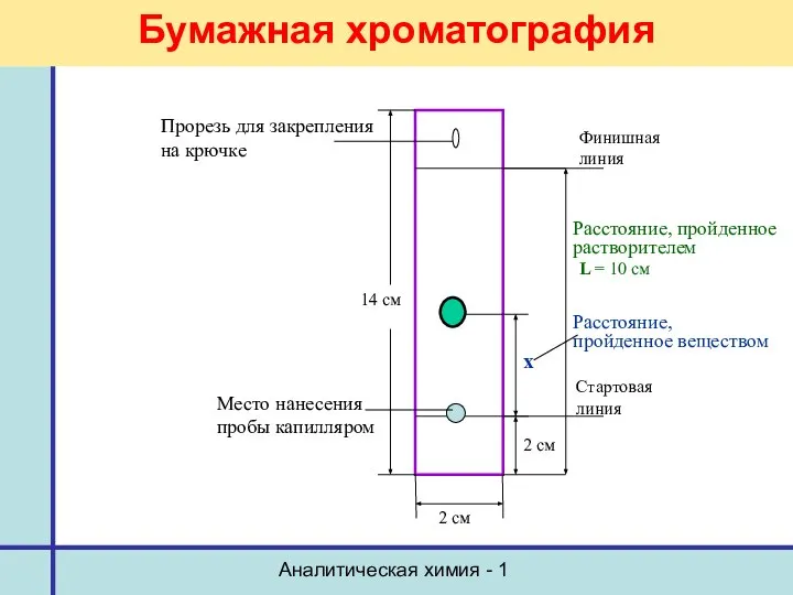 Аналитическая химия - 1 Бумажная хроматография L = 10 см х