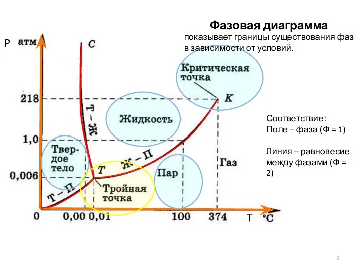 Фазовая диаграмма воды P T показывает границы существования фаз в зависимости