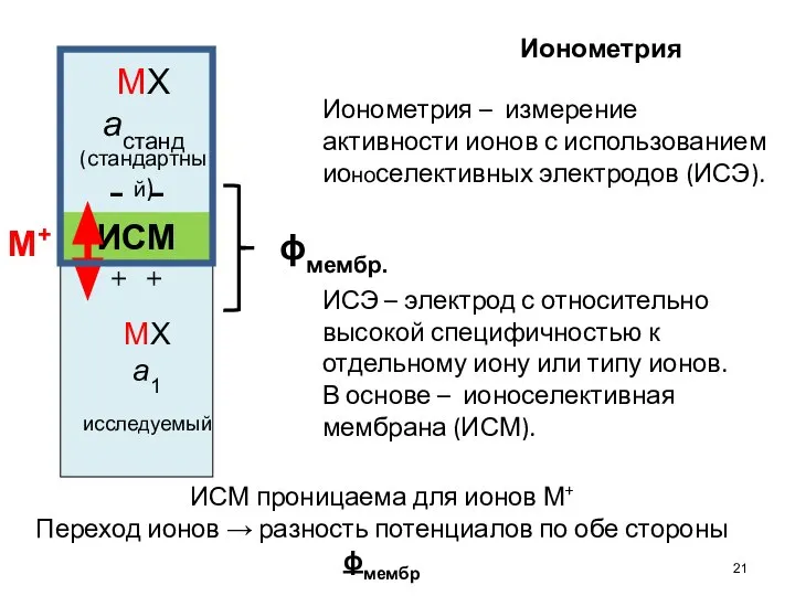 ИСМ МХ а1 исследуемый МХ астанд (стандартный) - - + +