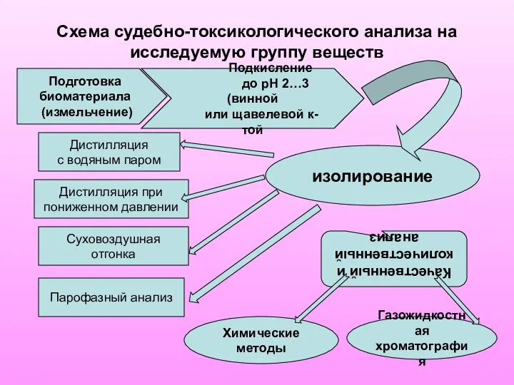 Схема судебно-токсикологического анализа на исследуемую группу веществ Подготовка биоматериала (измельчение) Подкисление