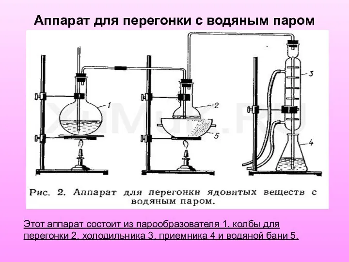 Аппарат для перегонки с водяным паром Этот аппарат состоит из парообразователя