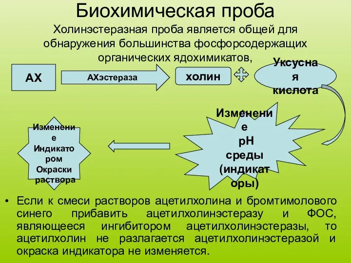 Биохимическая проба Холинэстеразная проба является общей для обнаружения большинства фосфорсодержащих органических