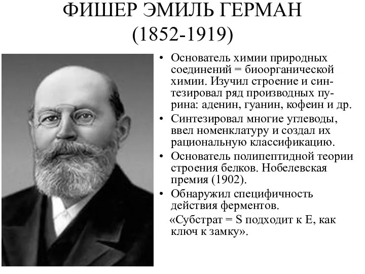 ФИШЕР ЭМИЛЬ ГЕРМАН (1852-1919) Основатель химии природных соединений = биоорганической химии.