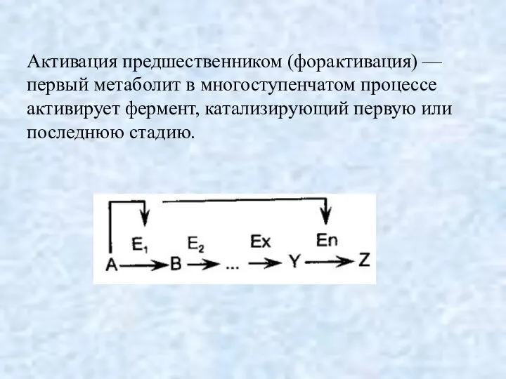 Активация предшественником (форактивация) — первый метаболит в многоступенчатом процессе активирует фермент, катализирующий первую или последнюю стадию.