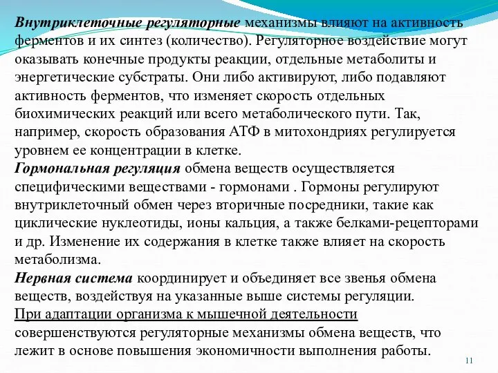 Внутриклеточные регуляторные механизмы влияют на активность ферментов и их синтез (количество).