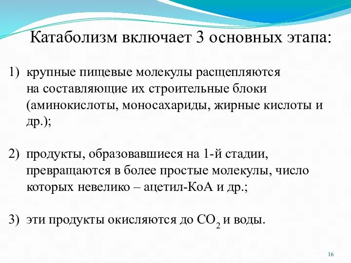 Катаболизм включает 3 основных этапа: крупные пищевые молекулы расщепляются на составляющие