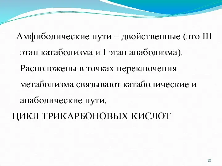 Амфиболические пути – двойственные (это III этап катаболизма и I этап