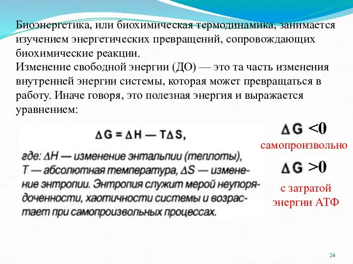 Биоэнергетика, или биохимическая термодинамика, занимается изучением энергетических превращений, сопровождающих биохимические реакции.