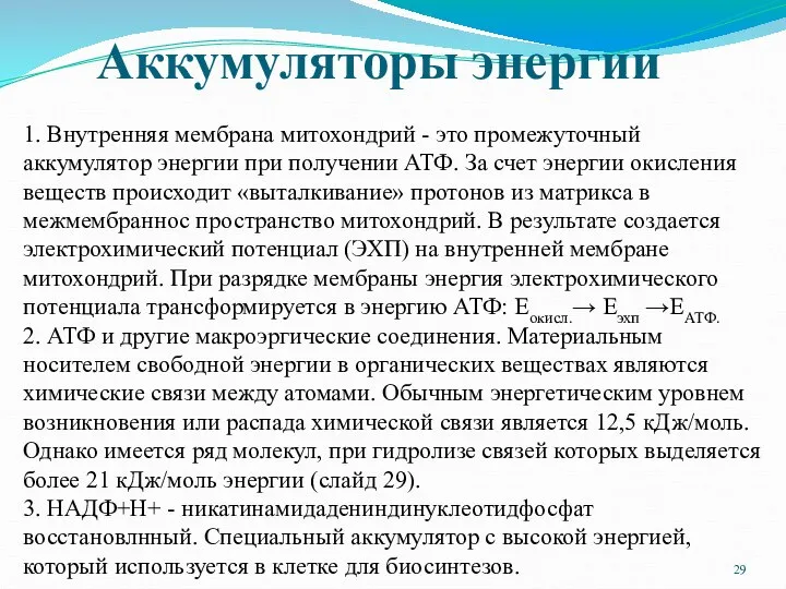 Аккумуляторы энергии 1. Внутренняя мембрана митохондрий - это промежуточный аккумулятор энергии