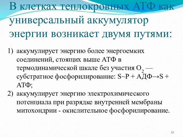 В клетках теплокровных АТФ как универсальный аккумулятор энергии возникает двумя путями: