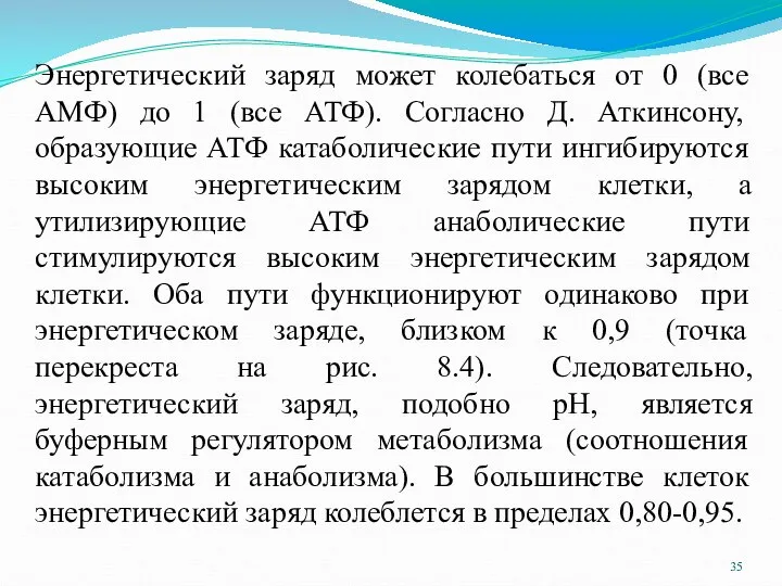 Энергетический заряд может колебаться от 0 (все АМФ) до 1 (все