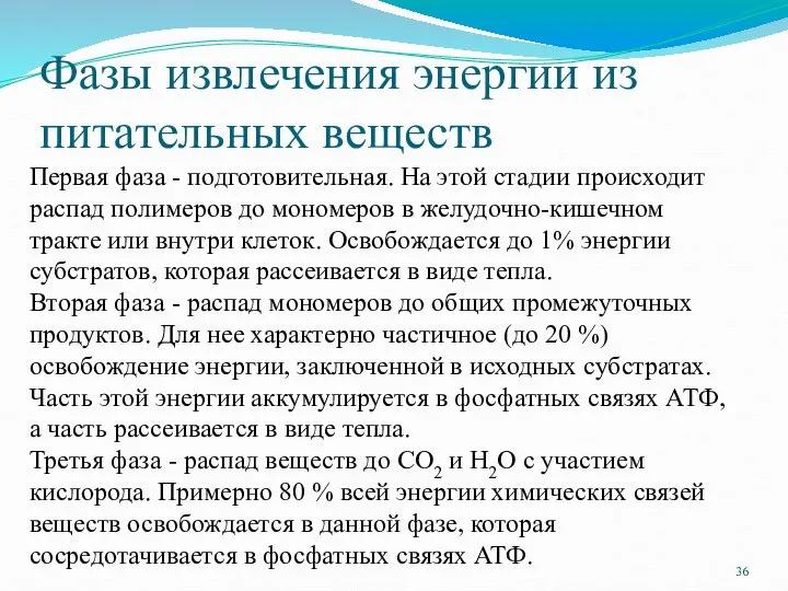 Фазы извлечения энергии из питательных веществ Первая фаза - подготовительная. На