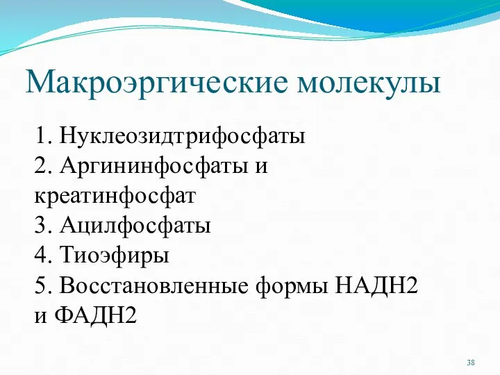 Макроэргические молекулы 1. Нуклеозидтрифосфаты 2. Аргининфосфаты и креатинфосфат 3. Ацилфосфаты 4.