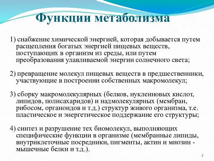 1) снабжение химической энергией, которая добывается путем расщепления богатых энергией пищевых