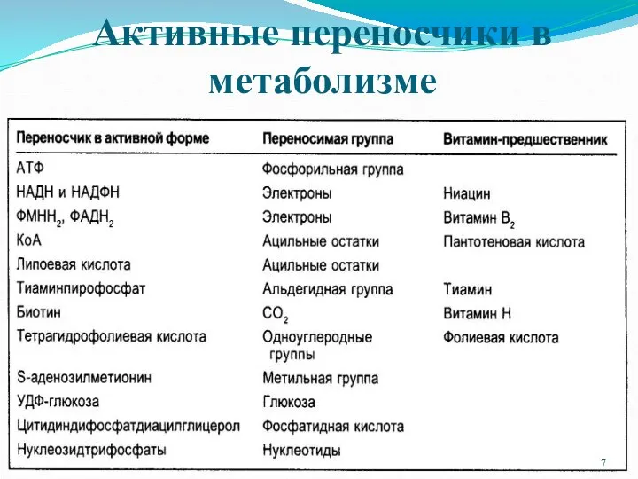 Активные переносчики в метаболизме