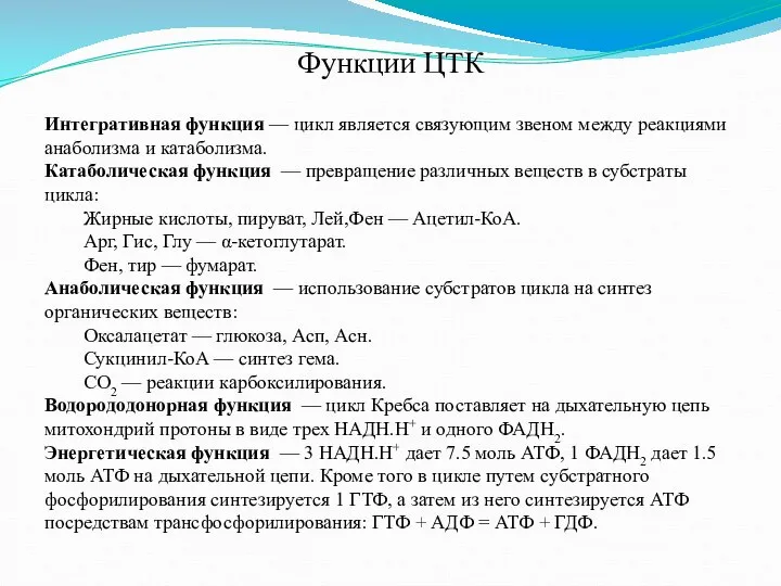 Интегративная функция — цикл является связующим звеном между реакциями анаболизма и