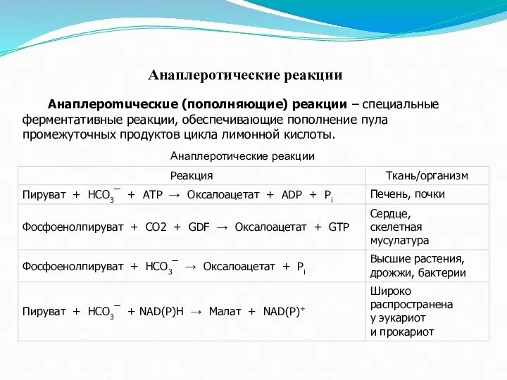 Анаплеротические реакции Анаплероmuческuе (пополняющие) реакции – специальные ферментативные реакции, обеспечивающие пополнение