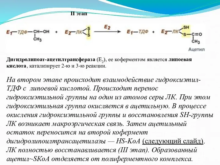 II этап На втором этапе происходит взаимодействие гидроксиэтил-ТДФ с липоевой кислотой.