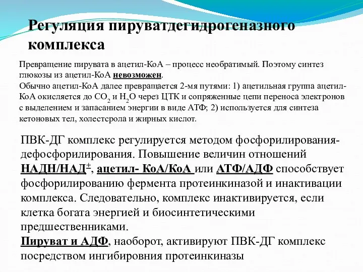 Регуляция пируватдегидрогеназного комплекса Превращение пирувата в ацетил-КоА – процесс необратимый. Поэтому