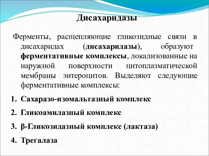 Дисахаридазы Ферменты, расщепляющие гликозидные связи в дисахаридах (дисахаридазы), образуют ферментативные комплексы,