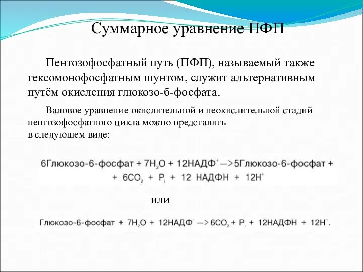 Суммарное уравнение ПФП Пентозофосфатный путь (ПФП), называемый также гексомонофосфатным шунтом, служит