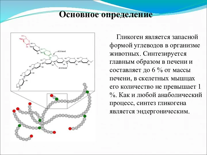 Гликоген является запасной формой углеводов в организме животных. Синтезируется главным образом