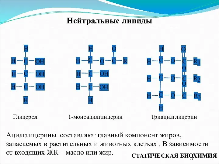 Нейтральные липиды Глицерол 1-моноацилглицерин Триацилглицерин СТАТИЧЕСКАЯ БИОХИМИЯ Ацилглицерины составляют главный компонент