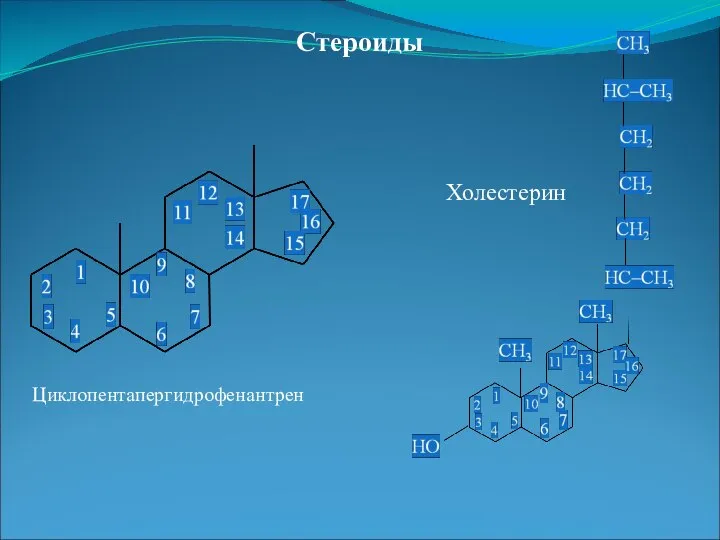 Стероиды Циклопентапергидрофенантрен Холестерин